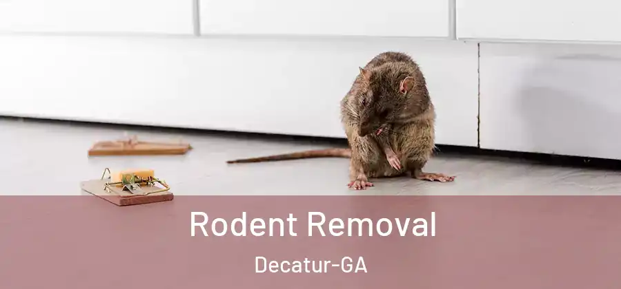 Rodent Removal Decatur-GA