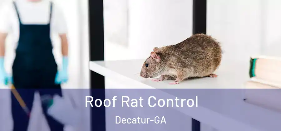 Roof Rat Control Decatur-GA