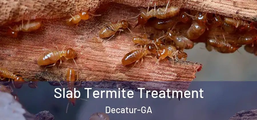  Slab Termite Treatment Decatur-GA