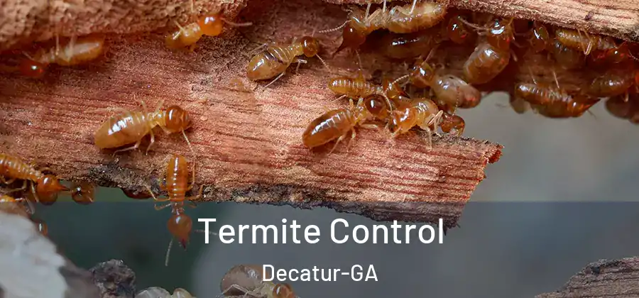  Termite Control Decatur-GA