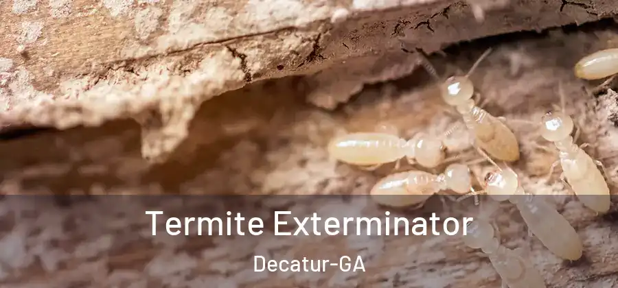  Termite Exterminator Decatur-GA