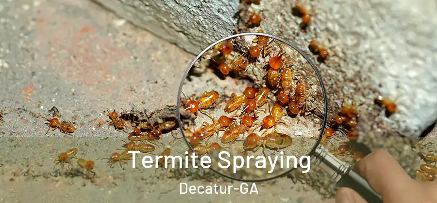 Termite Spraying Decatur-GA