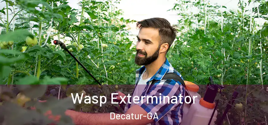 Wasp Exterminator Decatur-GA