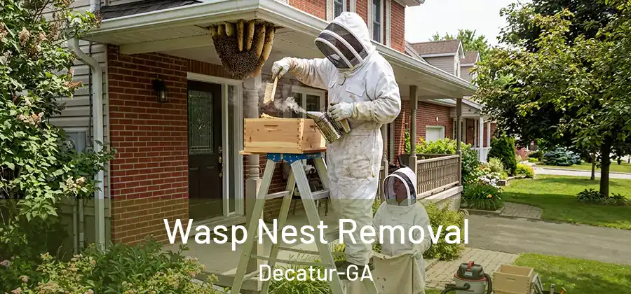 Wasp Nest Removal Decatur-GA