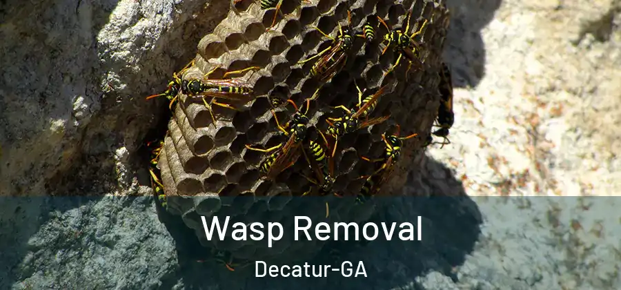 Wasp Removal Decatur-GA