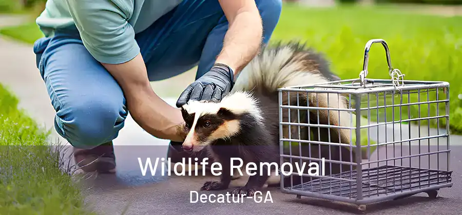 Wildlife Removal Decatur-GA