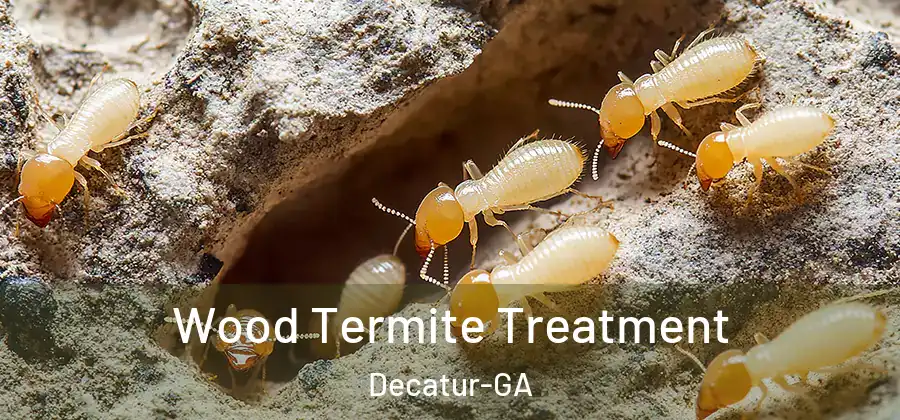Wood Termite Treatment Decatur-GA