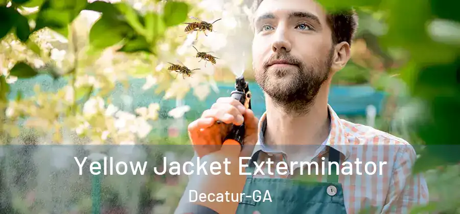 Yellow Jacket Exterminator Decatur-GA