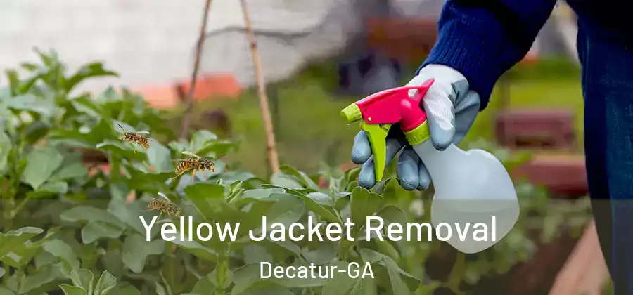 Yellow Jacket Removal Decatur-GA